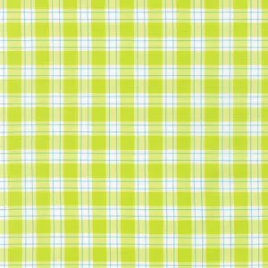 Kitchen Window Wovens Plaid Cactus
